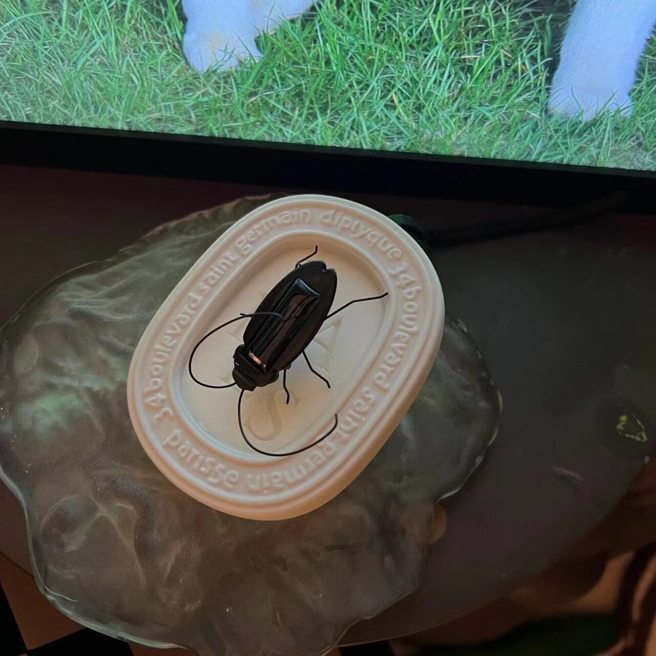 Innovative Quirky Solar Powered Science Cockroaches Toys/Christmas Birthday Gift