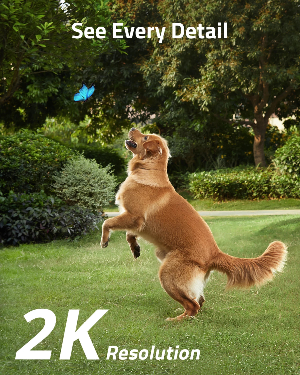 Eufy S40 Security SoloCam, See Every Detail 2K