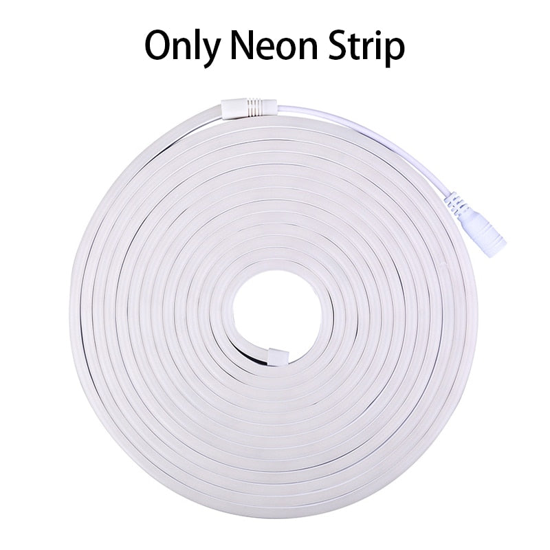 DC12V LED Neon Strip Light Waterproof SMD2835 120LEDs/m For DIY Home Decoration Neon LED Flexible Silicone Tape Rope Lighting 5M