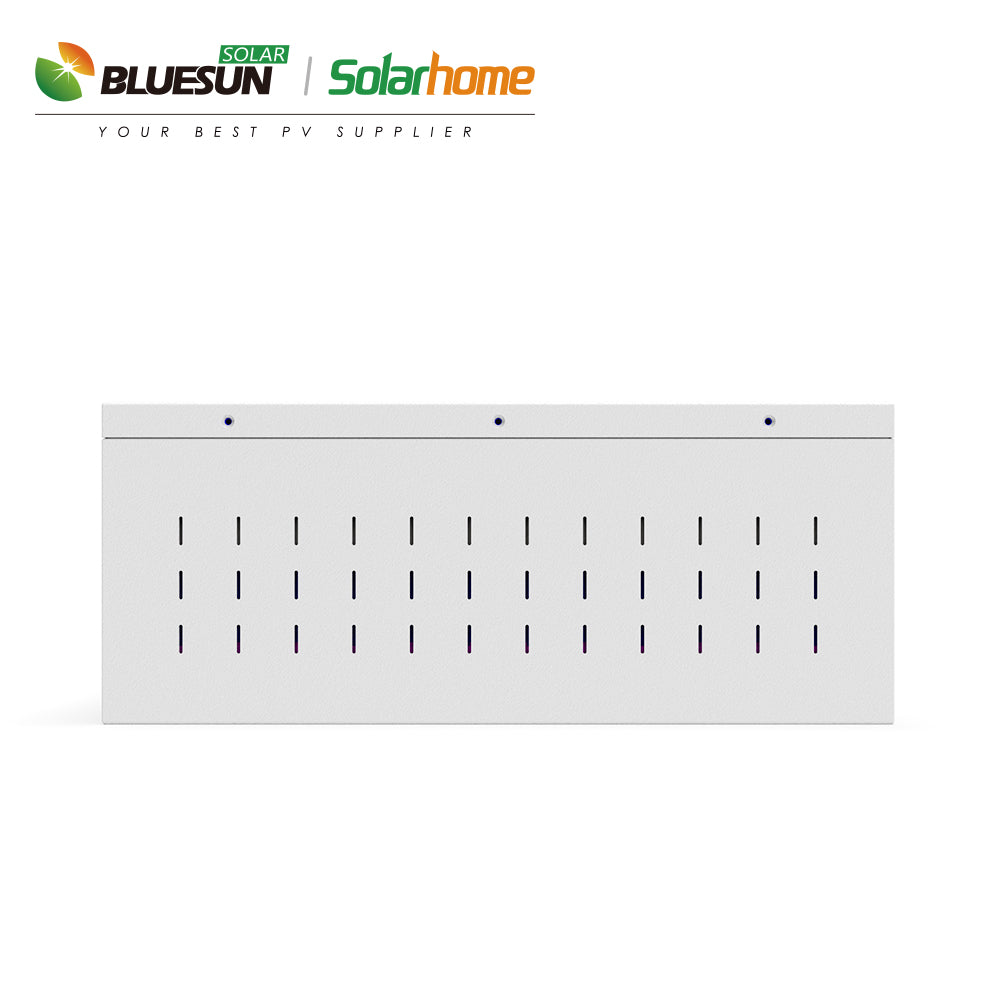 Bluesun 51.2V 100Ah Solar Battery - deep cycle lifepo4 lithium battery hybrid solar system | Best Solar
