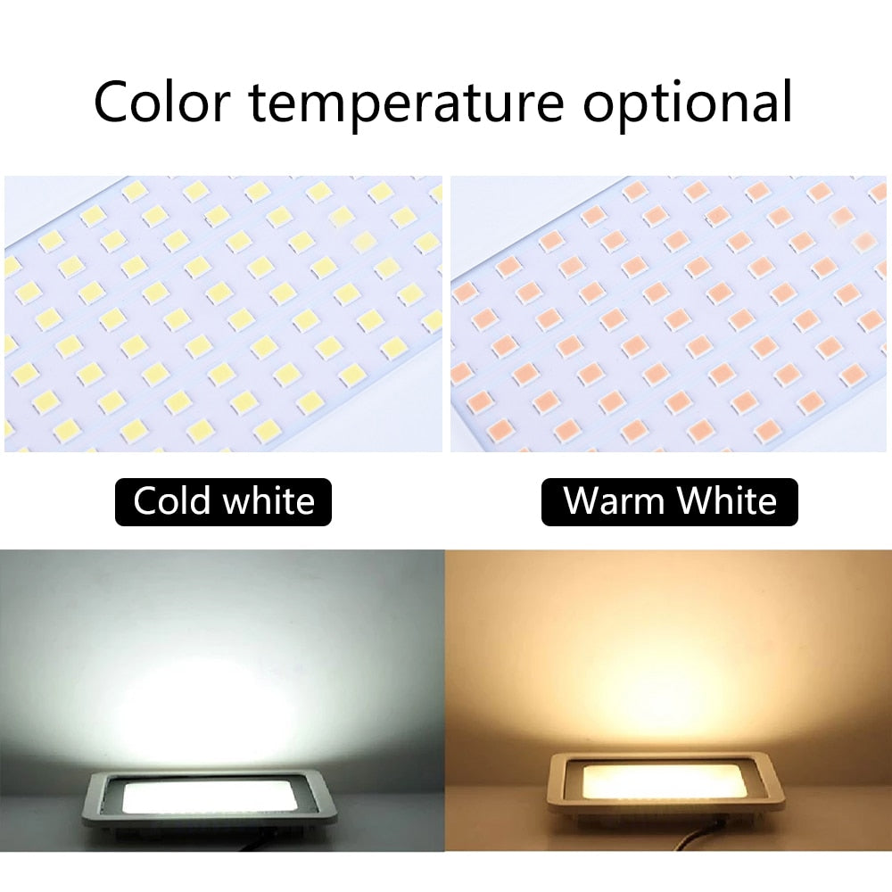 Color temperature optional Cold white Warm