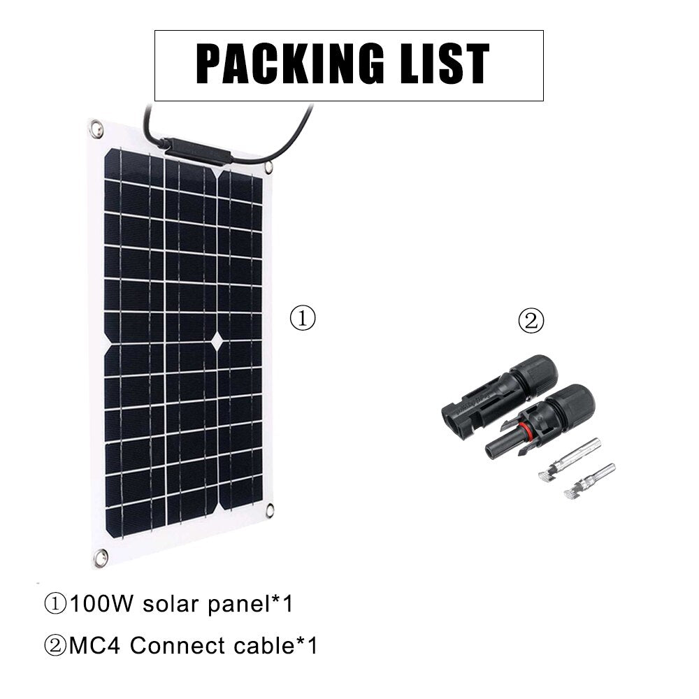 1000W Inverter  Solar Panel, PACKING LIST D100W solar panel*1 2MC