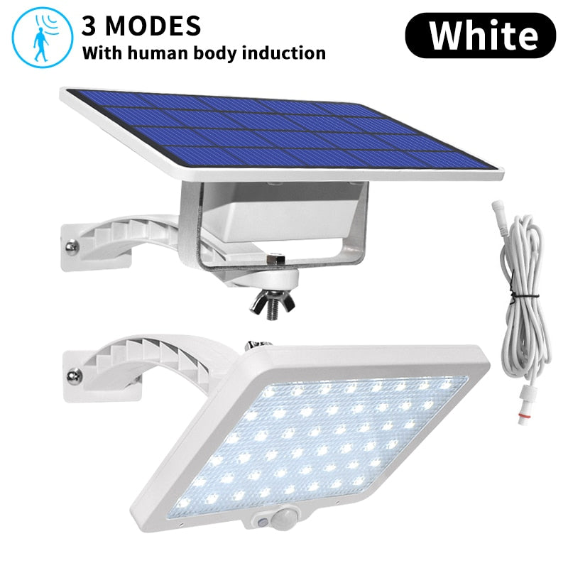 3 MODES White With human body in
