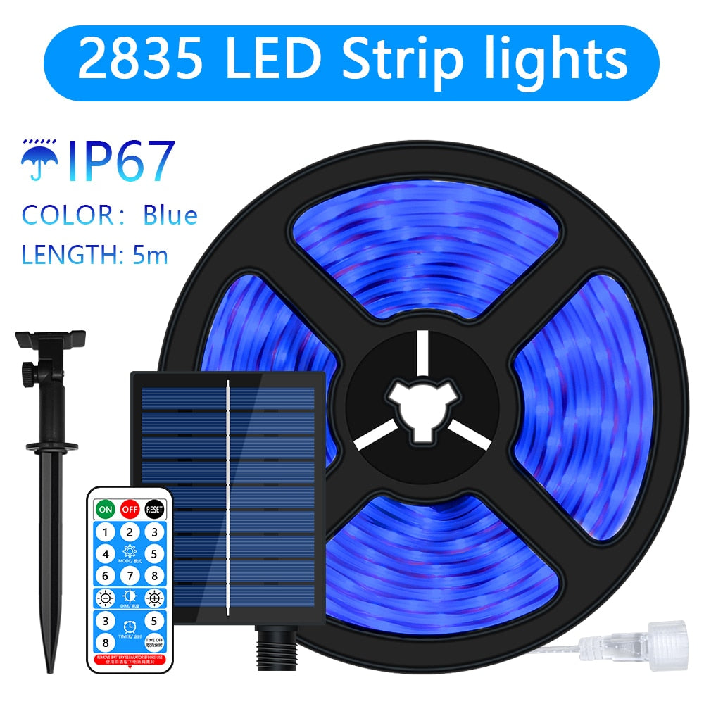 2835 LED Strip lights IP67 COLOR: Blue LENG