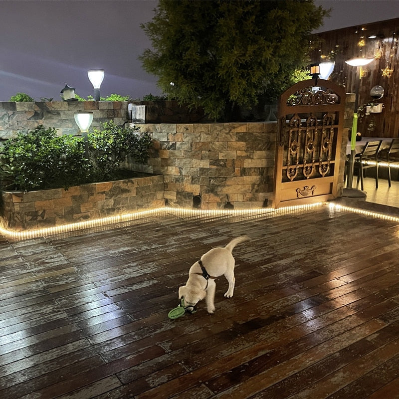 Solaire alimenté 3/4/5/10M bande lumineuse extérieure rvb 2835 Flexible éclairage ruban bande étanche LED bande rétro-éclairage jardin décor
