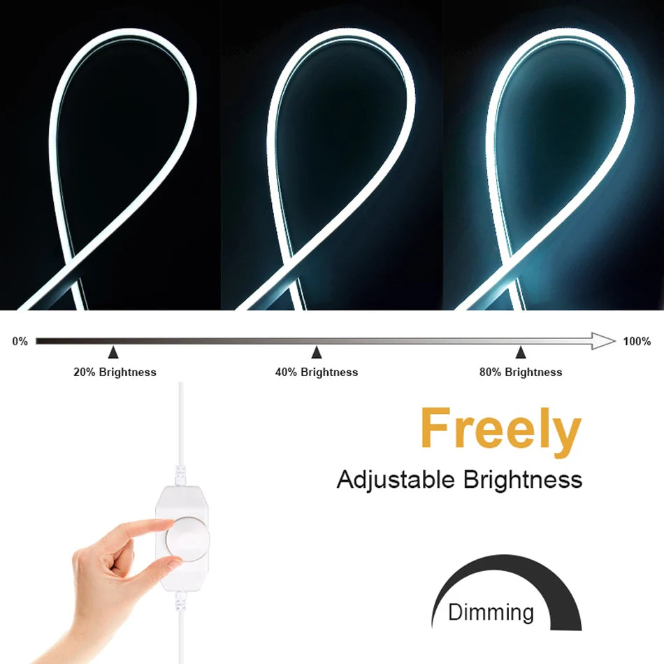 DC12V LED Neon Strip Light, Adjustable brightness with three levels: 20%, 40%, and 80% for customizable lighting.