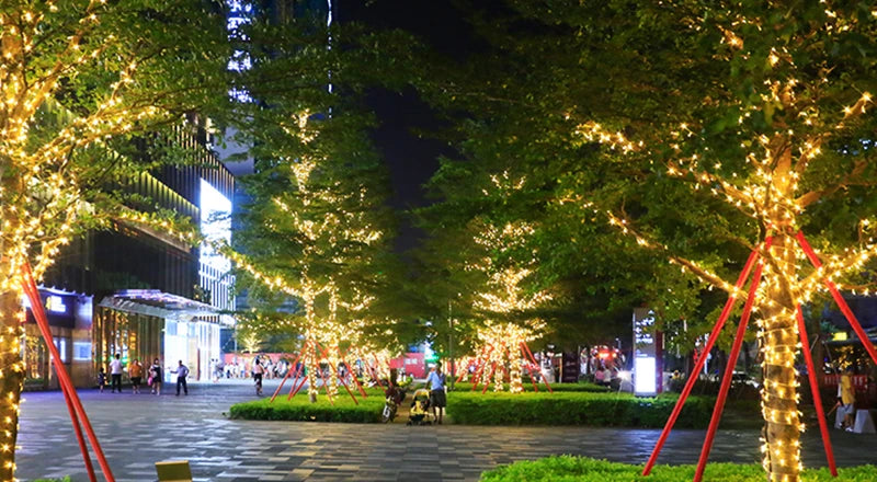 Fairy Light, Reliable logistics chosen for order shipment; normal shipping expected.