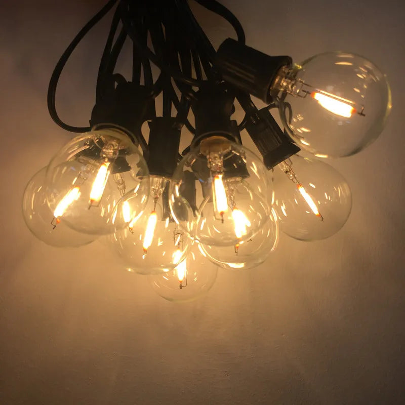 25Ft. LED G40  Bulb String Light, 