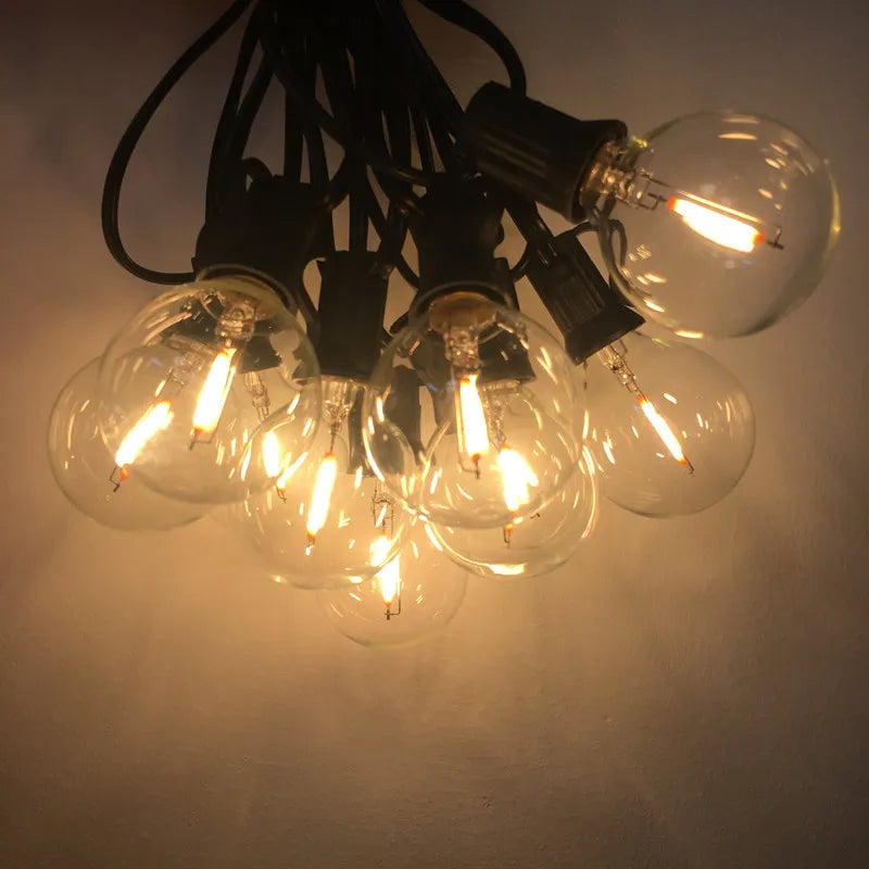 25Ft. LED G40  Bulb String Light,