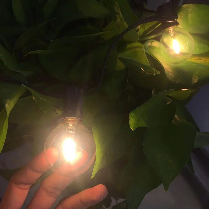 25Ft. LED G40  Bulb String Light,