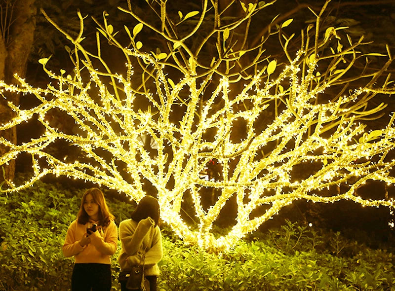 Fairy Light, Logistics speed varies beyond sellers' control.