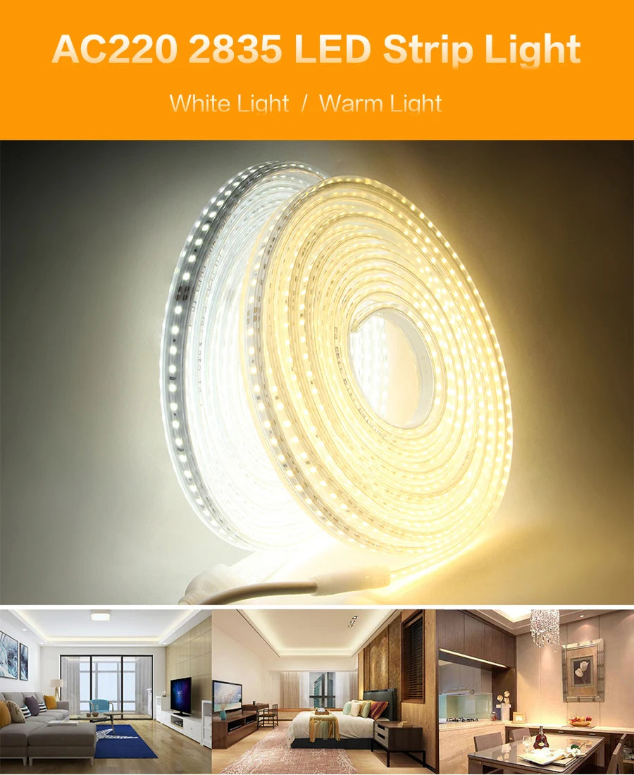 220V Waterproof LED Strip Light, Waterproof LED strip light with high brightness and 120 LEDs/meter for indoor/outdoor decorating.