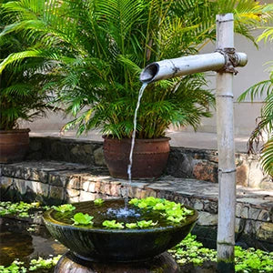 2.5W Solar Fountain, Solar-powered fountain pump with adjustable nozzles for small-scale applications.