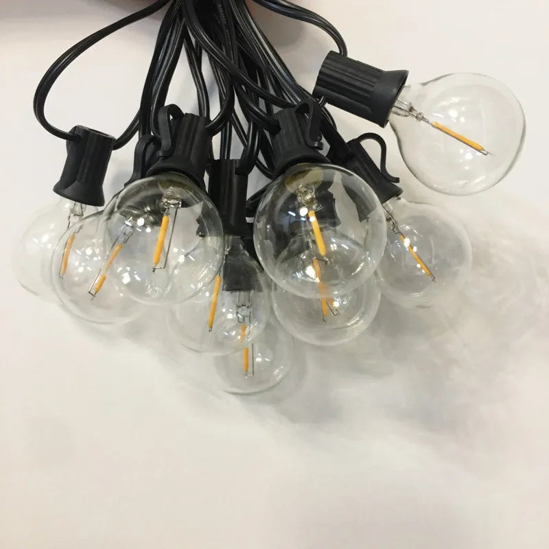 25Ft. LED G40  Bulb String Light,