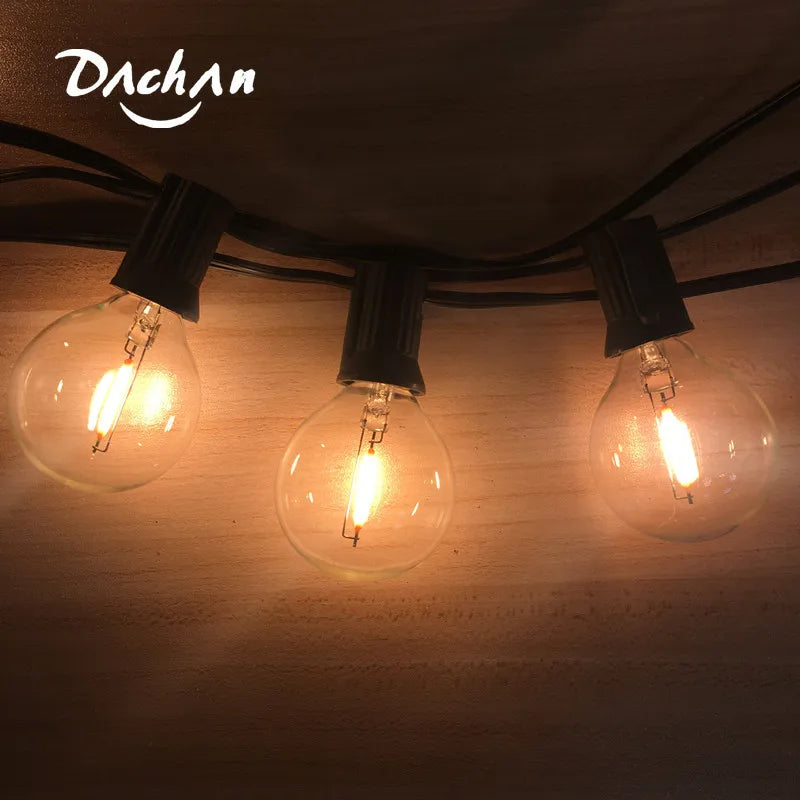 25Ft. LED G40  Bulb String Light, 