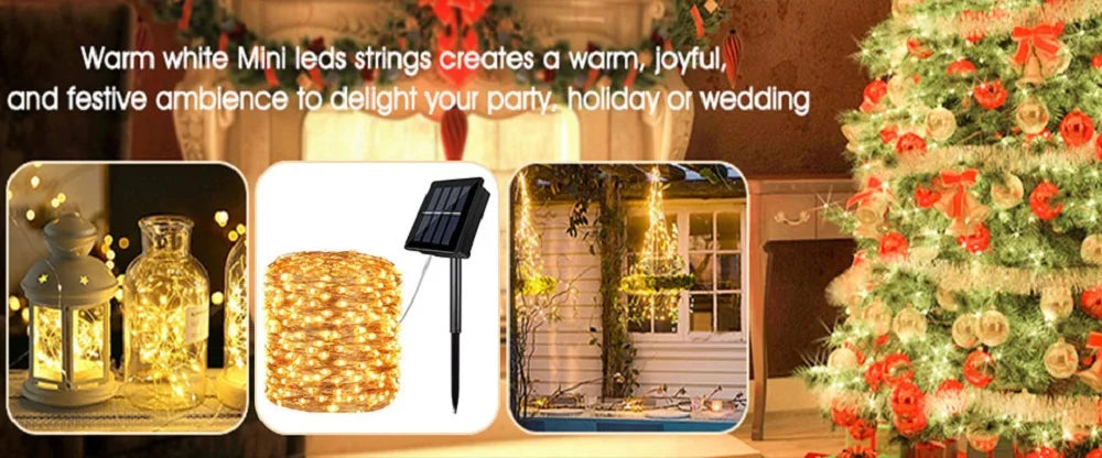 Cozy ambiance created by warm white LEDs for parties, holidays, and weddings.