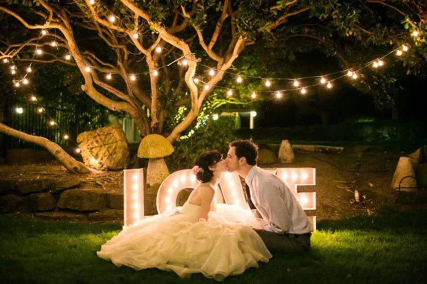 20 LED Outdoor Solar Light,