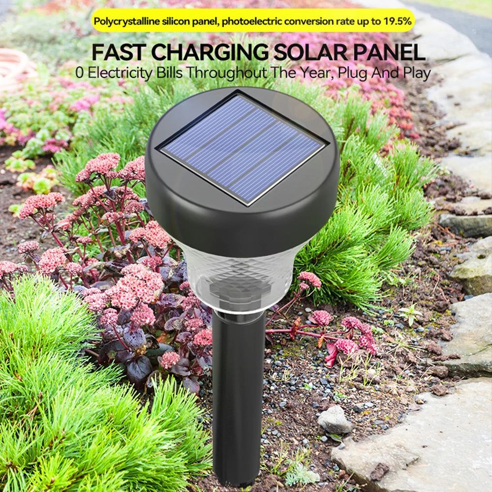 LED Solar Pathway Light, Solar-powered lamp with efficient panel and quick charging, saving energy costs all year round.