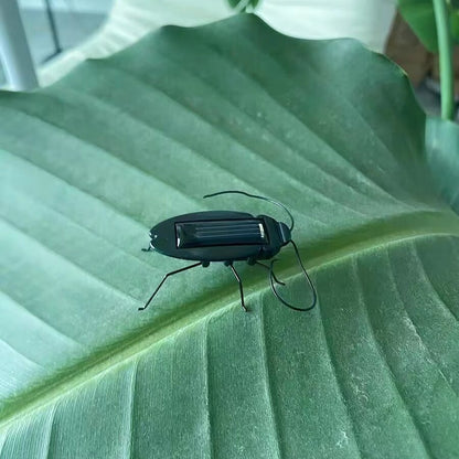 Innovative Quirky Solar Powered Science Cockroaches Toys/Christmas Birthday Gift