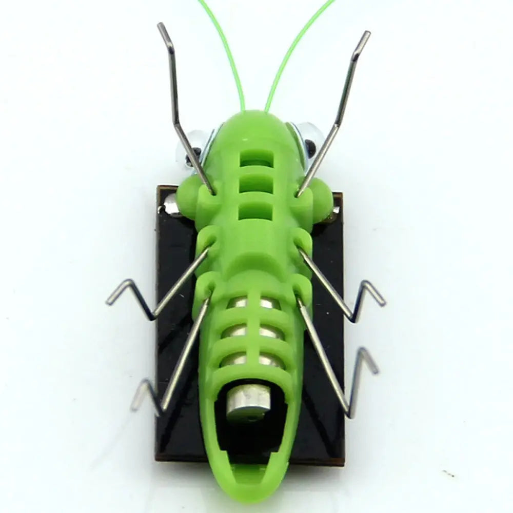 Solar Grasshopper Toy, Grasshopper starts motorized shaking motion when exposed to sunlight.