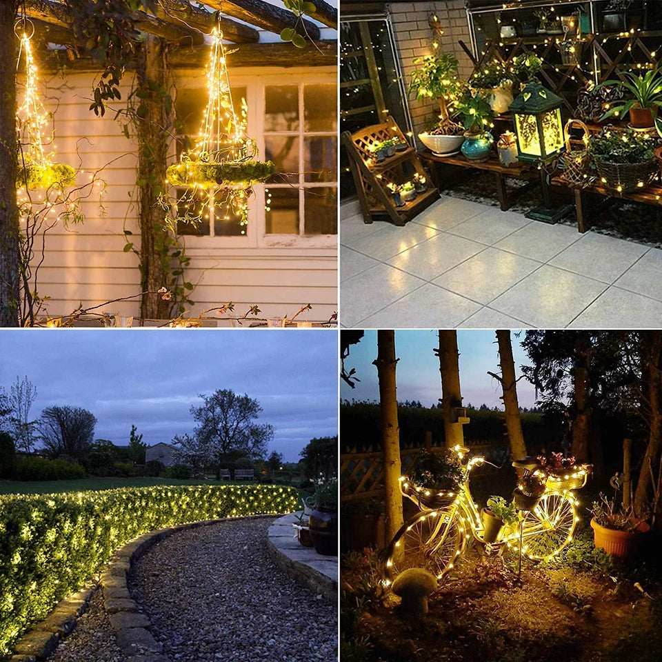 Solar String Fairy LED Light, Add whimsy and romance to gatherings with this image.