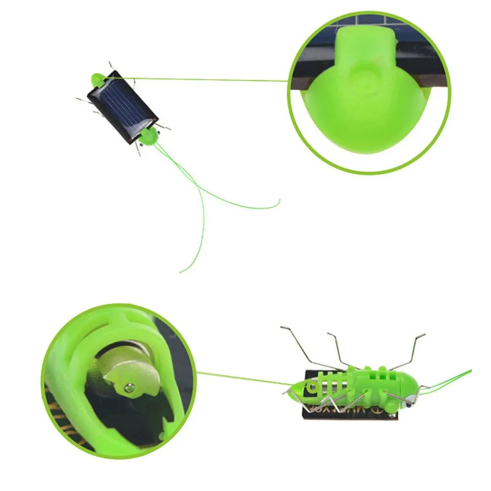 Solar Grasshopper Toy, Self-sufficient, eco-friendly technology that harnesses sunlight for power, eliminating need for batteries.