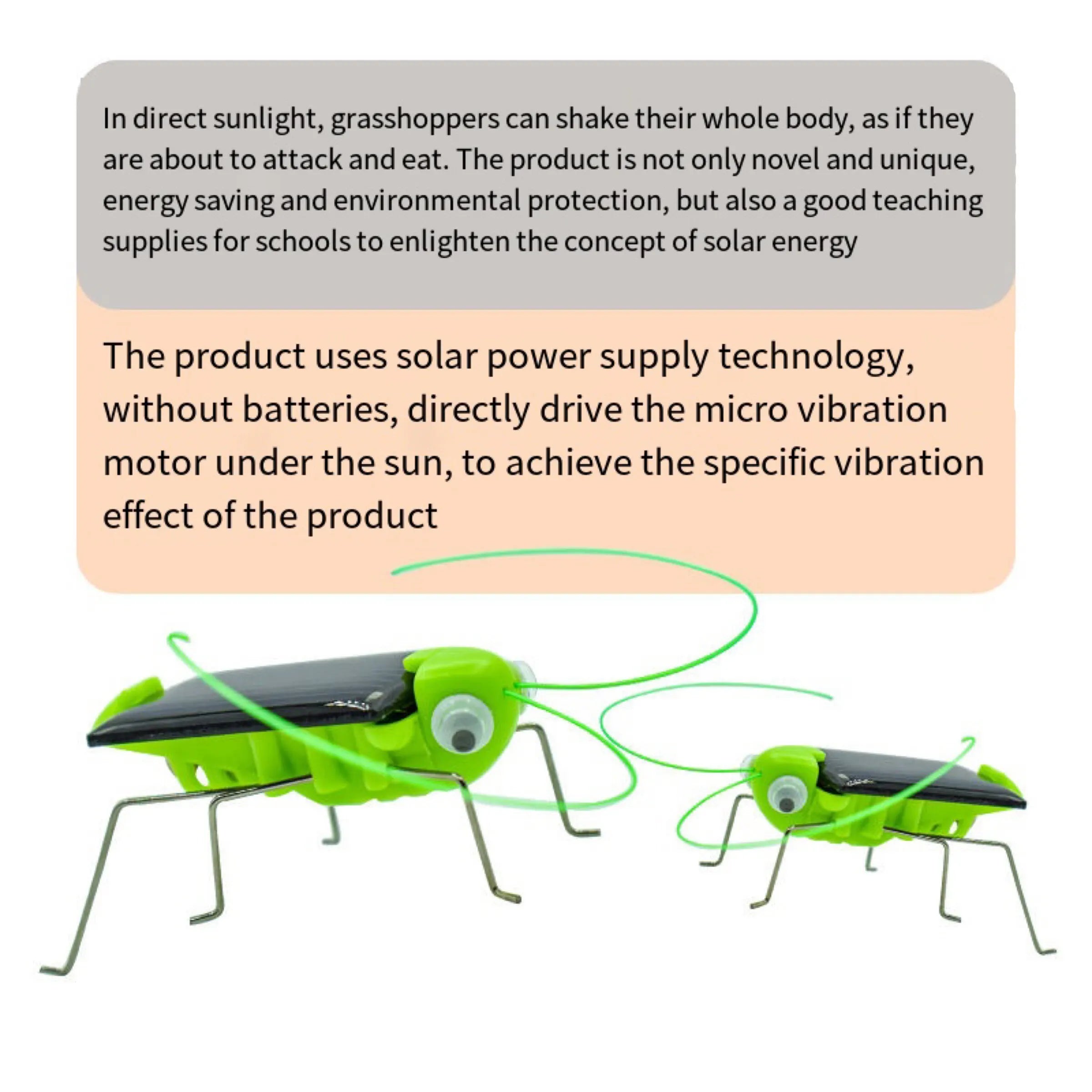 Solar Grasshopper Toy, Solar-powered grasshopper toy comes to life in direct sunlight, promoting renewable energy education and fun.