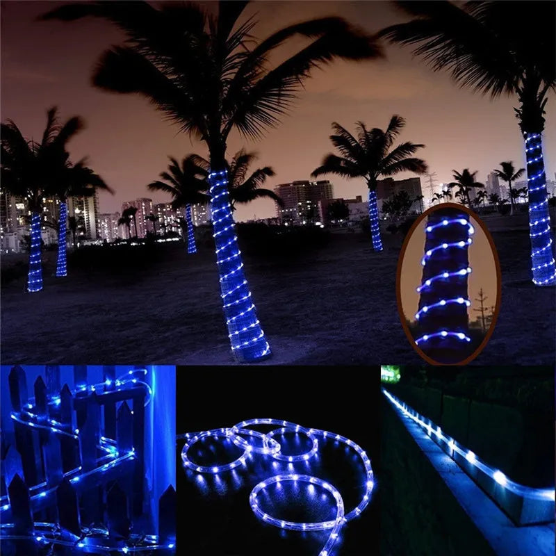 Contains 1 set of 50-100 LED solar-powered string lights with waterproof design.