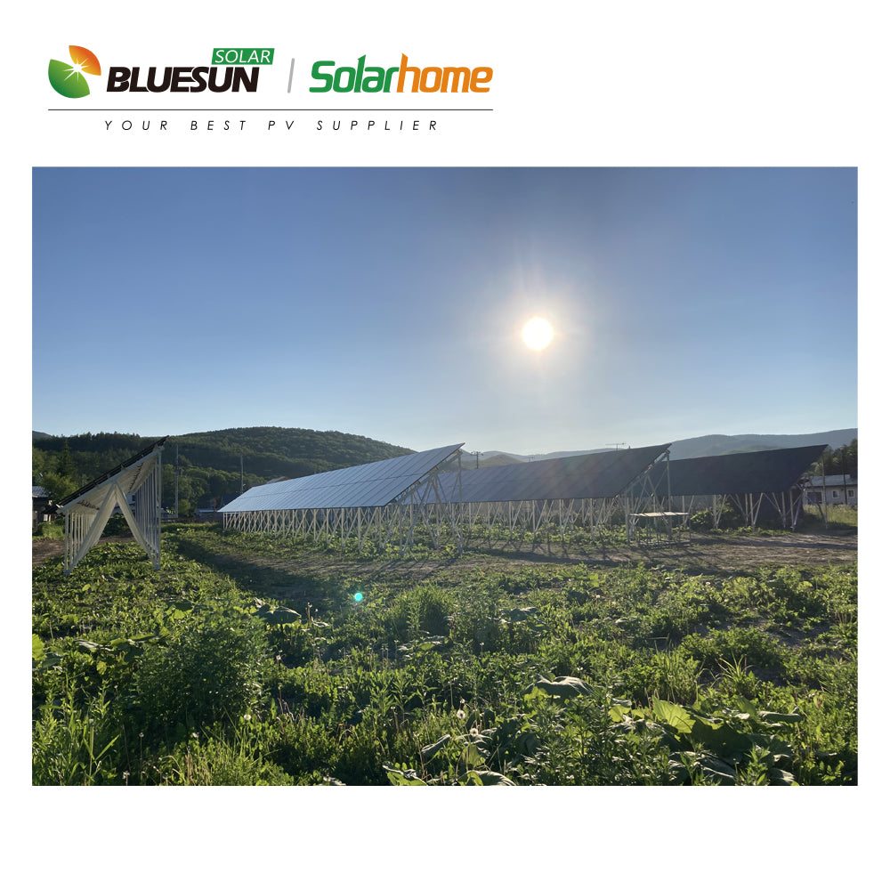 bluesun solar energy