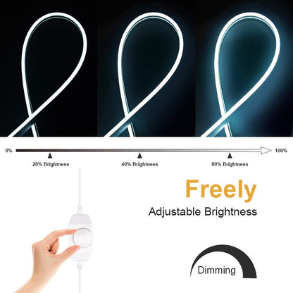 DC12V LED Neon Strip Light, 0% 100% 20% Brightness 40% Brightness 80% Brightness Free