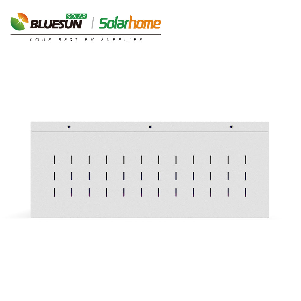 Bluesun 51.2V 100Ah Solar Battery -  deep cycle lifepo4 lithium battery hybrid solar system | Best Solar