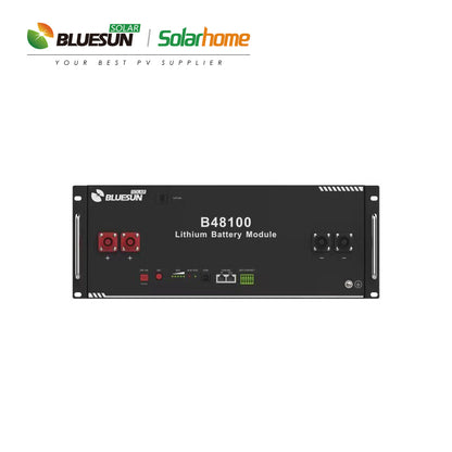 Bluesun 48V/100Ah Solar Battery - lifopo4 lithium battery solar storage | Best Solar