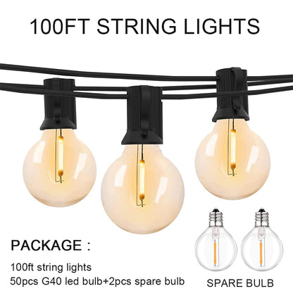 1O0FT STRING LIGHTS PACKAGE 2 10