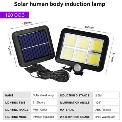 solar street lamp INDUCTION DISTANCE 2-SM LIGHT