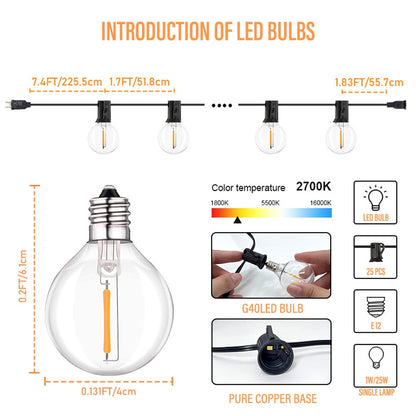 G4OLED BULB E12 IW/25W