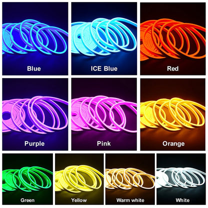 DC12V LED Neon Strip Light, Blue ICE Blue Red Purple Pink Orange Green Yellow Warm white